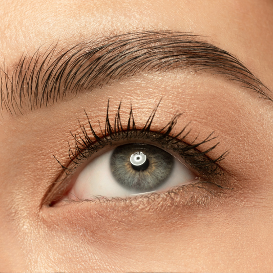 Wow Eyebrows!